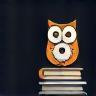 Expert insights icon